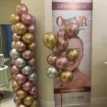 Publix Insta decor baloes 3